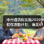 中兴通讯拟实施2020年股权激励计划,覆盖6124名核心骨干员工,与5G战略挂钩(图2) 中兴通讯拟实施2020年股权激励计划,覆盖6124名核心骨干员工,与5G战略挂钩(图2)