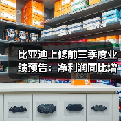 比亚迪上修前三季度业绩预告：净利润同比增长115.97%至128.67%（图4）