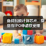 备战智能计算芯片，复旦微IPO申请获受理（图4）