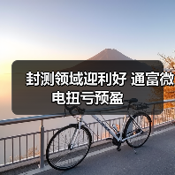 封测领域迎利好 通富微电扭亏预盈(图3) 封测领域迎利好 通富微电扭亏预盈(图3)