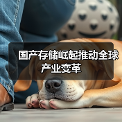 国产存储崛起推动全球产业变革(图3) 国产存储崛起推动全球产业变革(图3)