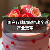 国产存储崛起推动全球产业变革(图2) 国产存储崛起推动全球产业变革(图2)