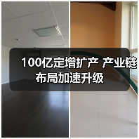 100亿定增扩产 产业链布局加速升级（图2）