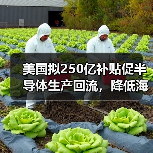 美国拟250亿补贴促半导体生产回流,降低海外依赖风险?(图4) 美国拟250亿补贴促半导体生产回流,降低海外依赖风险?(图4)