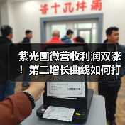 紫光国微营收利润双涨!第二增长曲线如何打造?(图3) 紫光国微营收利润双涨!第二增长曲线如何打造?(图3)