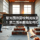 紫光国微营收利润双涨!第二增长曲线如何打造?(图2) 紫光国微营收利润双涨!第二增长曲线如何打造?(图2)