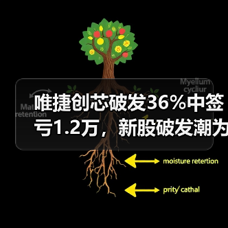唯捷创芯破发36%中签亏1.2万,新股破发潮为何频发?(图3) 唯捷创芯破发36%中签亏1.2万,新股破发潮为何频发?(图3)